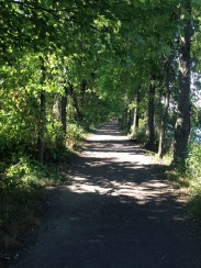 Towpath at Wildwood Park
