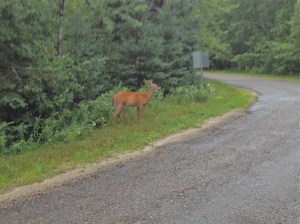 What is waiting around the bend for you?