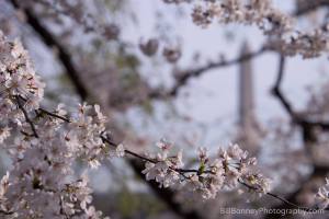 10409312_10207106911292809_8984017214100605439_n