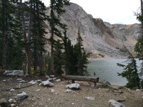 Medicine Bow National Forest