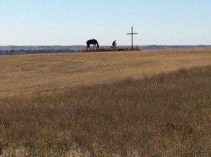 Ranch sculpture at the crest of my gravel road run