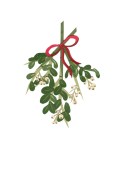 B-B Mistletoe Kiss
