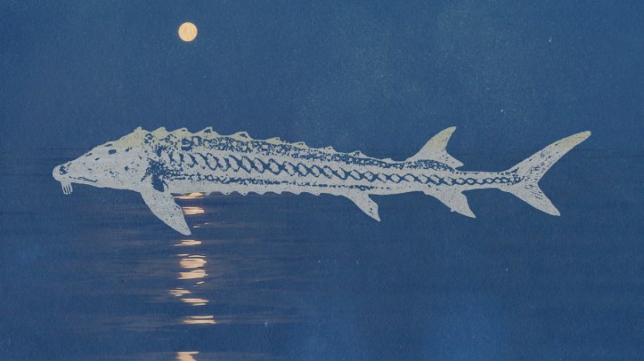 August-Full-Moon-THUMB