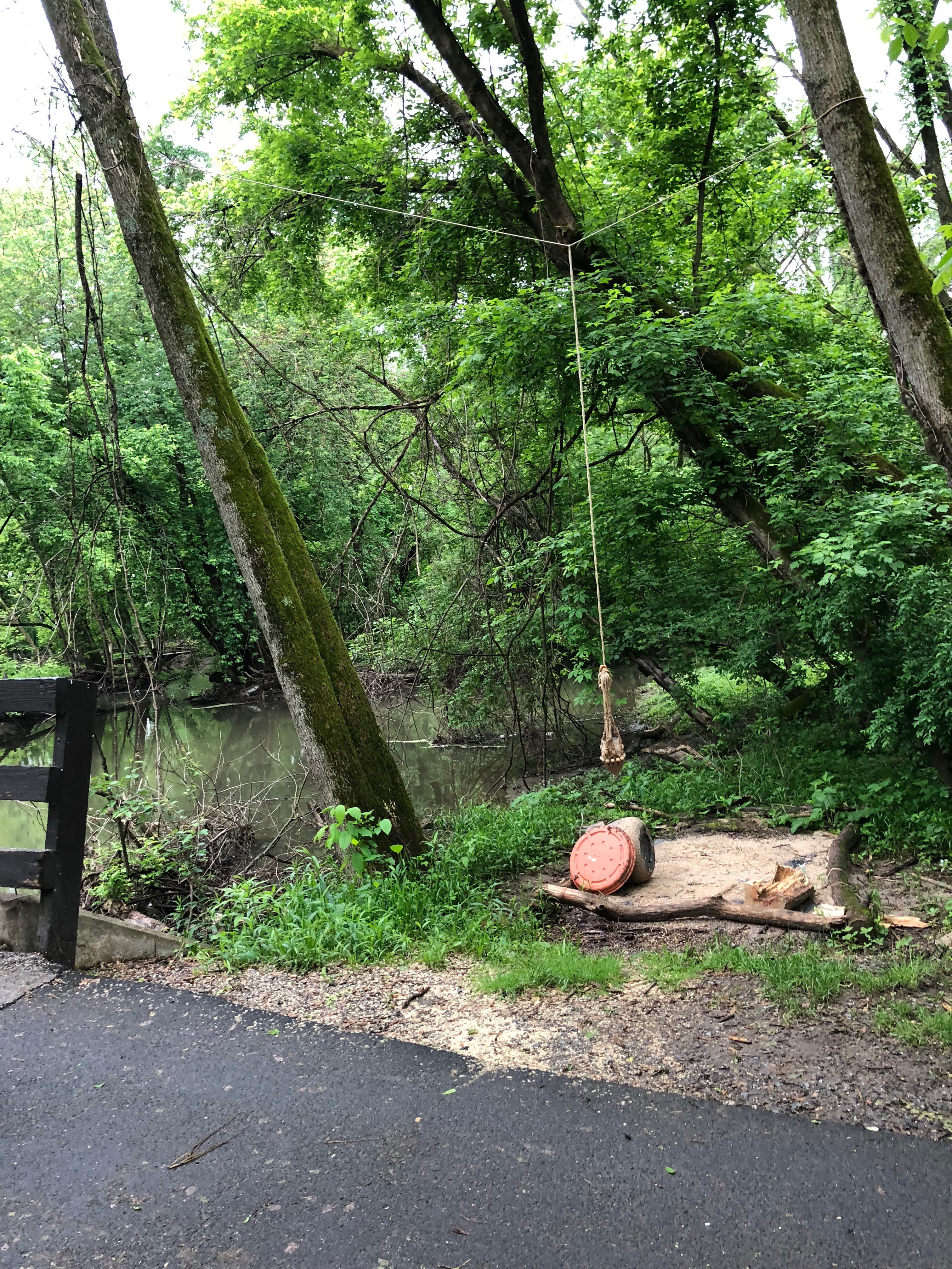 Art in the Wild at Wildwood Park – Still a Runner